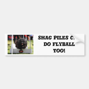Shag Piles kan ook Flyball doen Bumpersticker