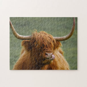 Shaggy Hazard Scottish Highland Koe Natuur Animal Legpuzzel