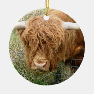 Shaggy Highland Cow Keramisch Ornament