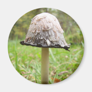 Shaggy Ink Pet Mushroom Magnet Magneet