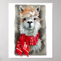 Shaggy llama in een rode sjaal