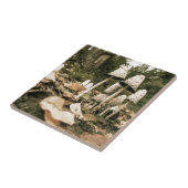 Shaggy Mane Mushrooms Tegeltje (Zijkant)