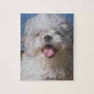 Shaggy Podle Dog Puzzle Legpuzzel