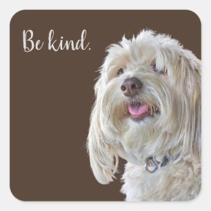 Shaggy Poodle met Quote Vierkante Sticker