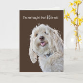 Shaggy Poodle pour la carte d'Humour 85e anniversa (Fleur jaune)