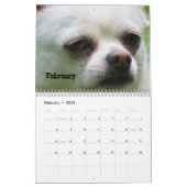 Shaggy Shack Snack Pack Agenda Kalender (Feb 2026)