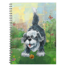 Shaggy Sheep Dog