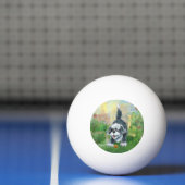 Shaggy Sheep Dog Pingpongballen (Net)