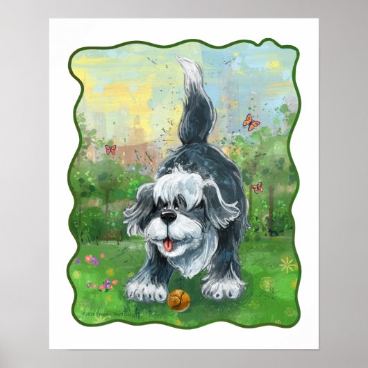 Shaggy Sheep Dog Poster (Voorkant)