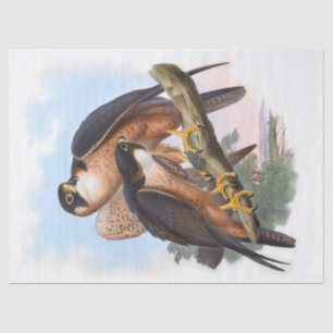 Shaheen Falcon Bird Decoupage Tissuepapier