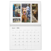 Shaireabs Bayleigh 2014 Welsh Terrier Calendar Kalender (Mar 2026)