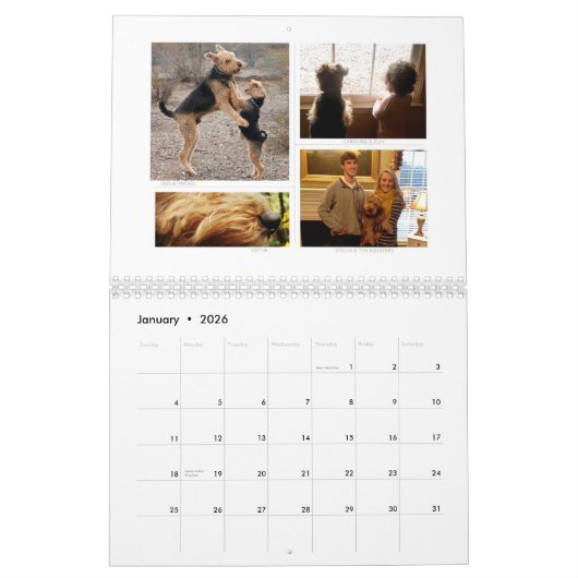 Shaireabs Bayleigh 2014 Welsh Terrier Calendar Kalender (Jan 2026)