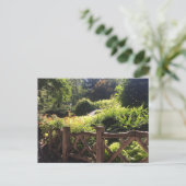 Shakespeare Garden NYC Central Park Photo Carte po (Debout devant)