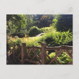 Shakespeare Garden NYC Central Park Photo Carte po