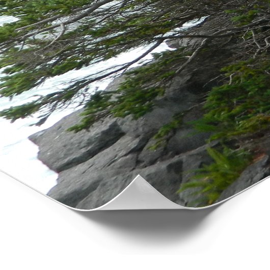 Shakespeare, Wild Ocean Zee, heeft het mis. Poster (Hoek)