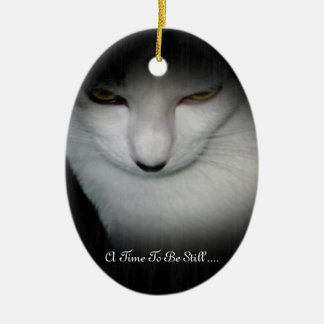 Shakira's tijd om nog steeds te worden... keramisch ornament