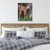 Shaky Legs Fawn Canvas Afdruk (Insitu (Slaapkamer))