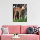 Shaky Legs Fawn Canvas Afdruk (Insitu (Woonkamer))