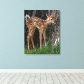 Shaky Legs Fawn Canvas Afdruk (Insitu (Houten vloer))