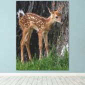 Shaky Legs Fawn Canvas Afdruk (Insitu (Houten vloer))