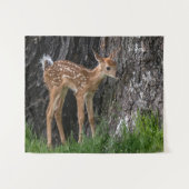 Shaky Legs Fawn Wandkleed (Voorkant (horizontaal))