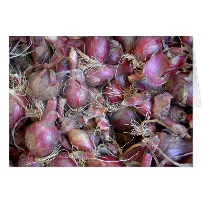 Shallot Blank Kaart (Voorkant Horizontaal)