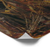 Shallot per waterhuis poster (Hoek)