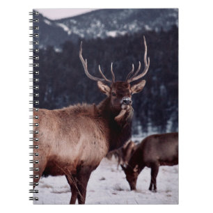 SHALLOW FOCUS FOTO VAN BROWN DEER NOTITIEBOEK