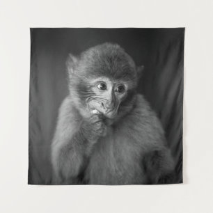 SHALLOW FOCUS FOTOGRAPHY OF BLACK MONKEY WANDKLEED