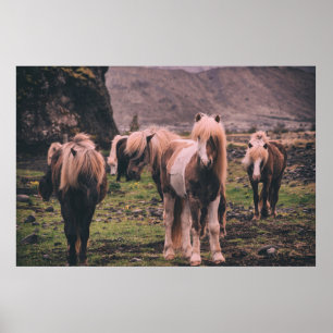 SHALLOW FOCUS FOTOGRAPHY OF HORSES POSTER