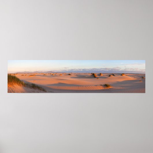 Shallow Inlet Dunes Panorama Poster (Voorkant)