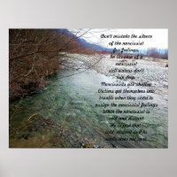 Shallow Waters - Narcissist