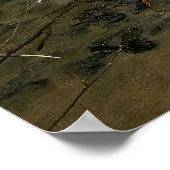 Shallow Waters - Narcissist Poster (Hoek)