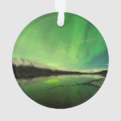 Shallows Aurora Ornament (achterkant)