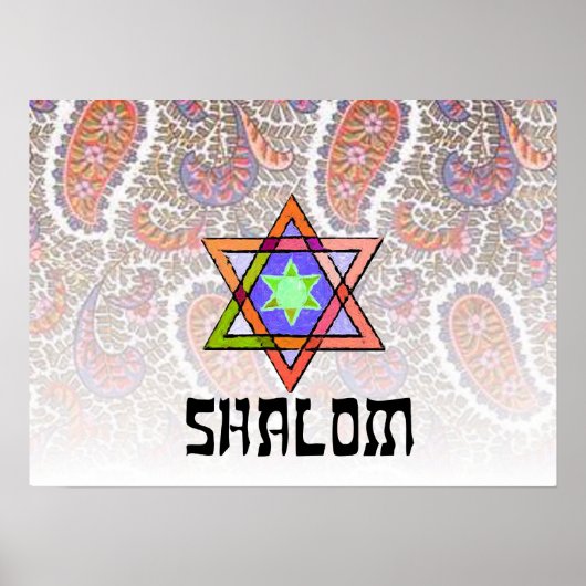 Shalom Pink Paisley Poster (Voorkant)