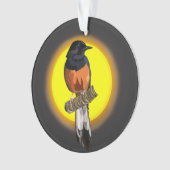 Shama Bird Ornament met witte pomp (voorkant)