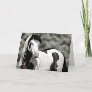 Shaman de Mustang Folded Note Card Notitiekaartje