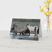 Shaman & Granite ~ Carte de voeux de légende (Fleur jaune)