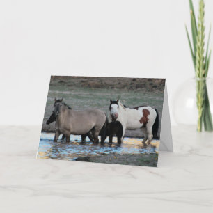 Shaman & Granite ~ Carte de voeux de légende