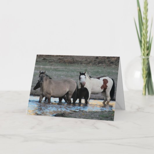 Shaman & Granite ~ Carte de voeux de légende (Devant)