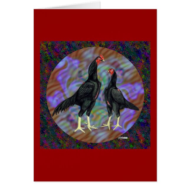 Shamo: Zwarte Paar (Voorkant)