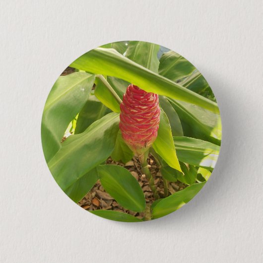Shampoo gember bloem ronde button 5,7 cm (Voorkant)