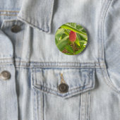Shampoo gember bloem ronde button 5,7 cm (In situ)