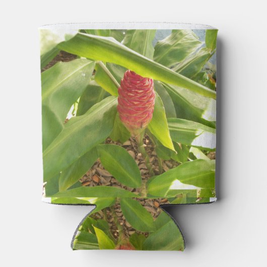 Shampoo Ginger flower Blikjeskoeler (Achterkant)