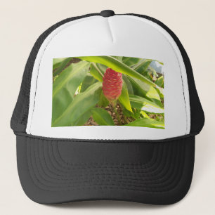 Shampoo Ginger flower Trucker Pet