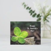 Shamrock 2 St. Patrick's Day Briefkaart (Staand voorkant)