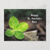 Shamrock 2 St. Patrick's Day Briefkaart (Voorkant)