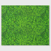 Shamrock Cadeaupapier (Vlak)