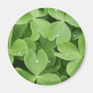 Shamrock Clover Leaves Magneet