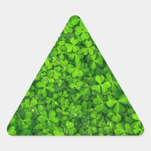 Shamrock Clovers Green Irish Symbol Ierland Driehoek Sticker